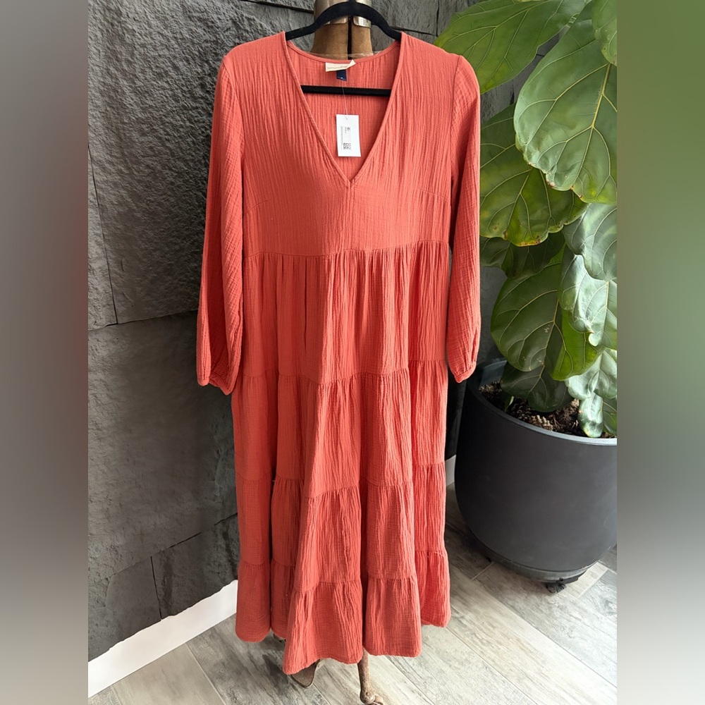 Universal Thread Terracotta Long Sleeve Tiered Maxi Dress